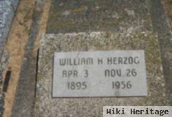 William H Herzog