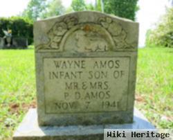 Wayne Amos