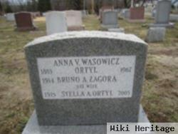 Anna V Wasowicz Ortyl