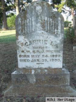 Carrie L. Michie