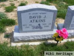 David J Atkins