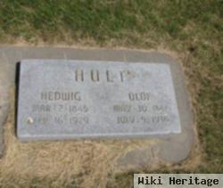 Hedwig Anderson Hult