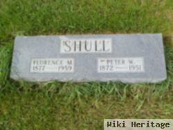 Peter W Shull