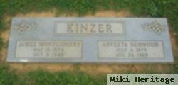 Arvesta Norwood Kinzer