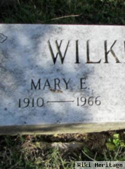 Mary E Lanzen Wilkinson