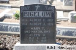 Aileen M Bigelow