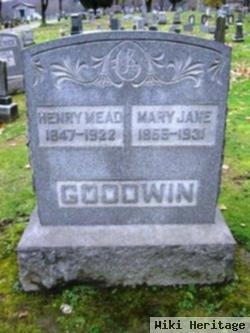 Mary Jane Goodwin