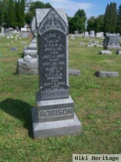 Mary L Robison