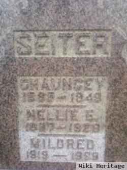 Nellie E. Griffin Seiter