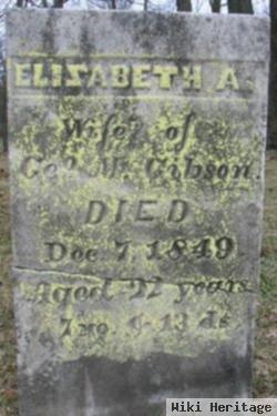 Elizabeth A. Gibson