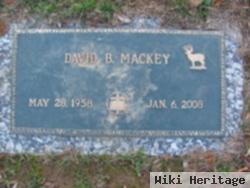 David B. Mackey