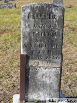 Ellen G Tate Denton