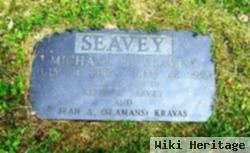 Michael J Seavey