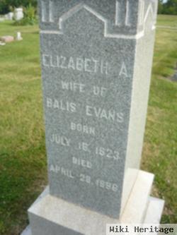 Elizabeth A. Evans