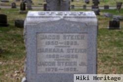 Barbara Grieb Steier