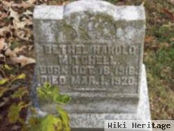 Bethel Harold Mitchell