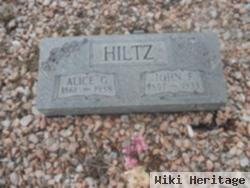 Alice Gertrude Mcphelemy Hiltz