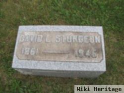 David L Sturgeon