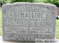 Harvey Edward Schalliol