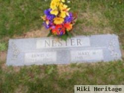 Lewis C Nester