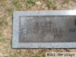 Juliet Moreland Knee