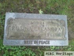 Rosina "rose" Schiantella Calandra