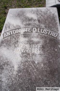 Antoinette Matroni Dilustro