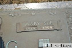 Mary Sue Chapman Long