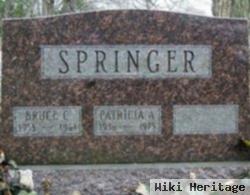 Bruce C Springer