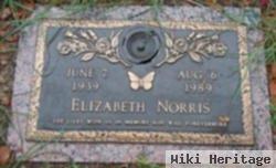 Elizabeth Norris