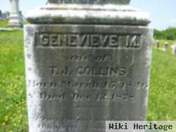 Genevieve Meem Collins