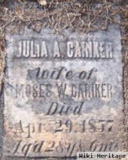 Julia Ann Hartsell Carriker