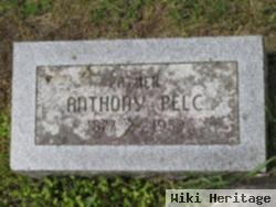 Anthony Pelc