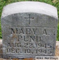 Mary A Pund