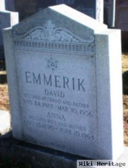 David Emmerik