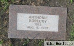 Anthonie Kopecky