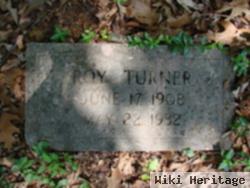 Roy Turner