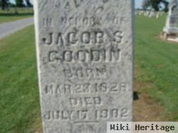 Jacob S Goodin