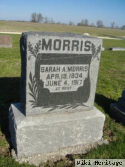 Sarah Ann Thrasher Morris