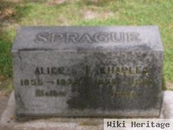 Alice Sprague