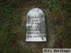 Elizabeth Ann Hinshaw