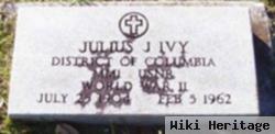 Julius J Ivy