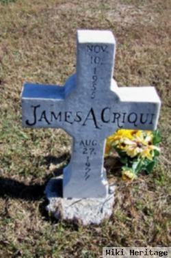 James A. Criqui