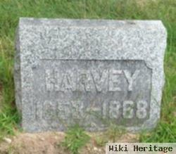 Harvey Miller