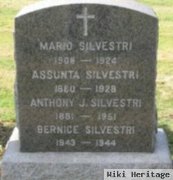 Assunta Silvestri