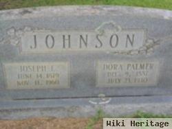 Joseph E Johnson