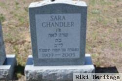 Sara Lipkin Chandler