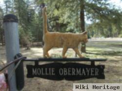 Mollie M Starr Geiger