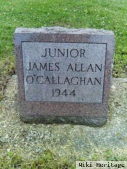 James Allan O'callaghan, Jr