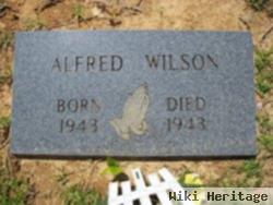 Alfred Wilson